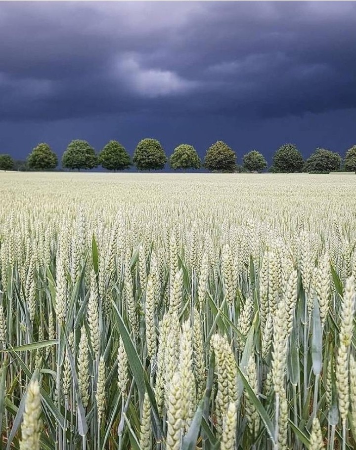 rain going
