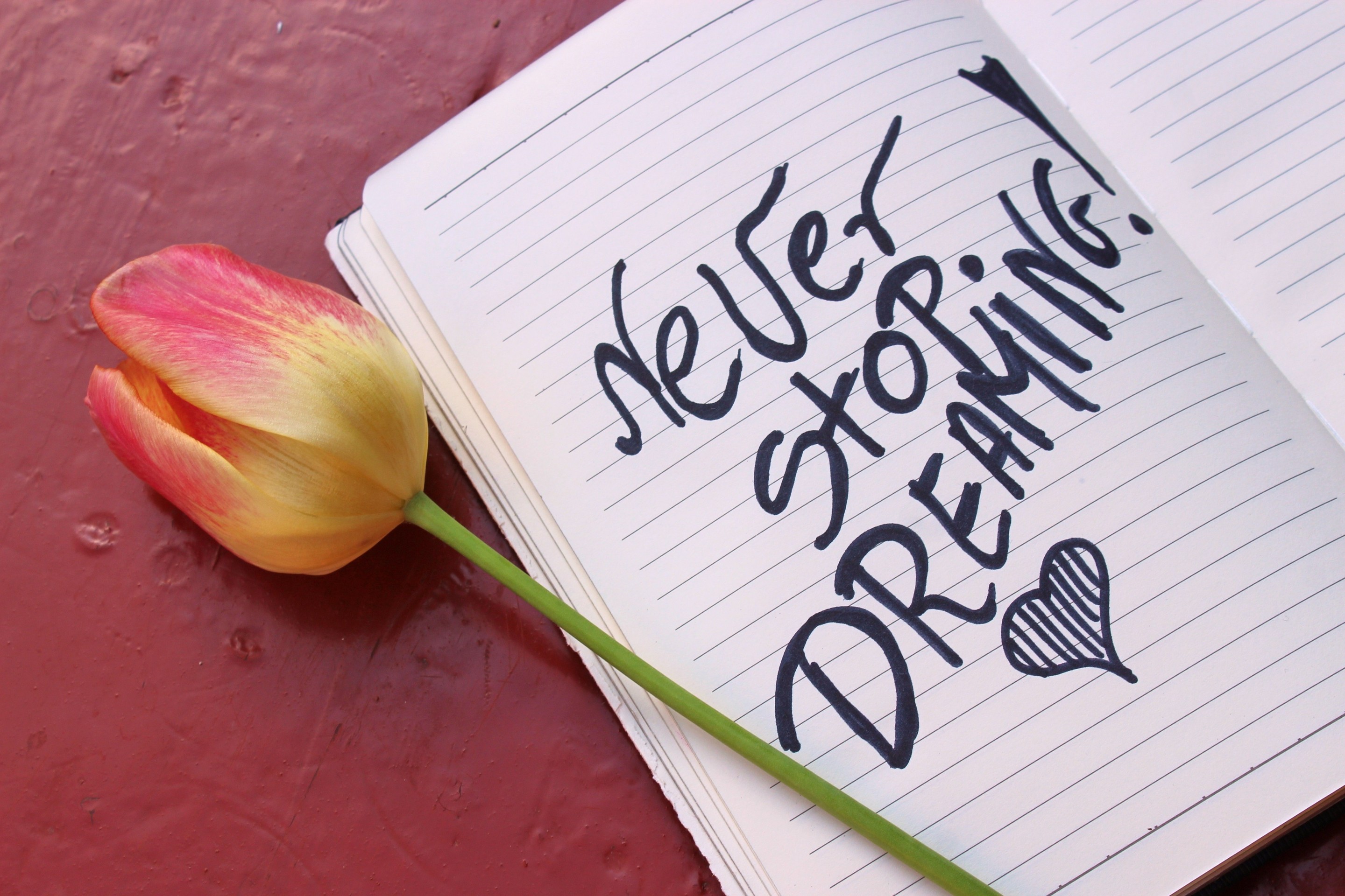 Dream Dream and dream