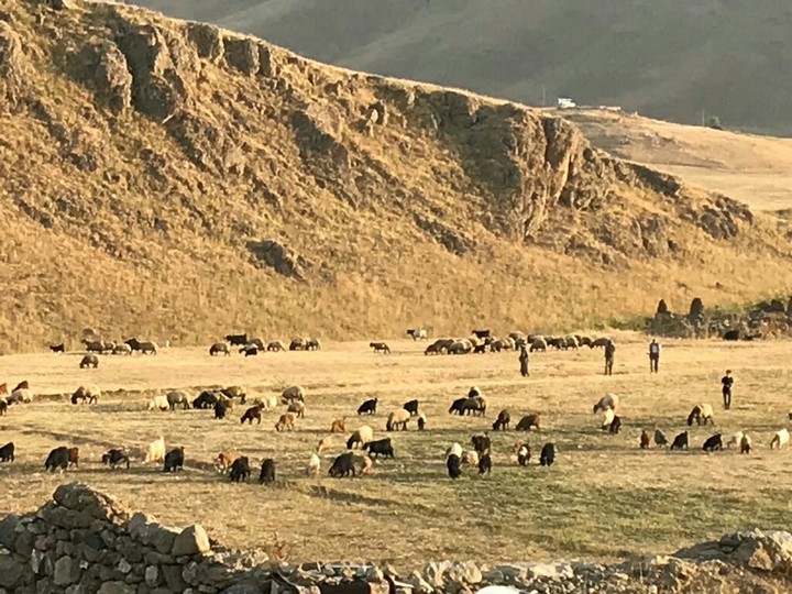 köy