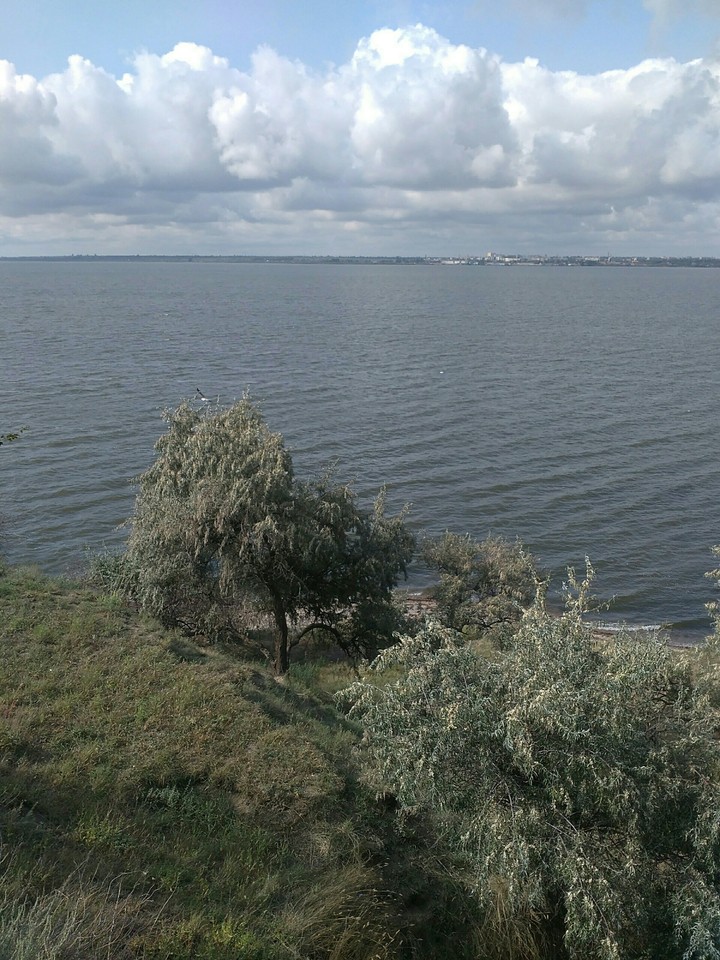 вид.