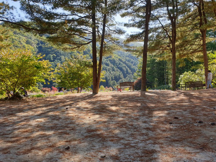 산속에서