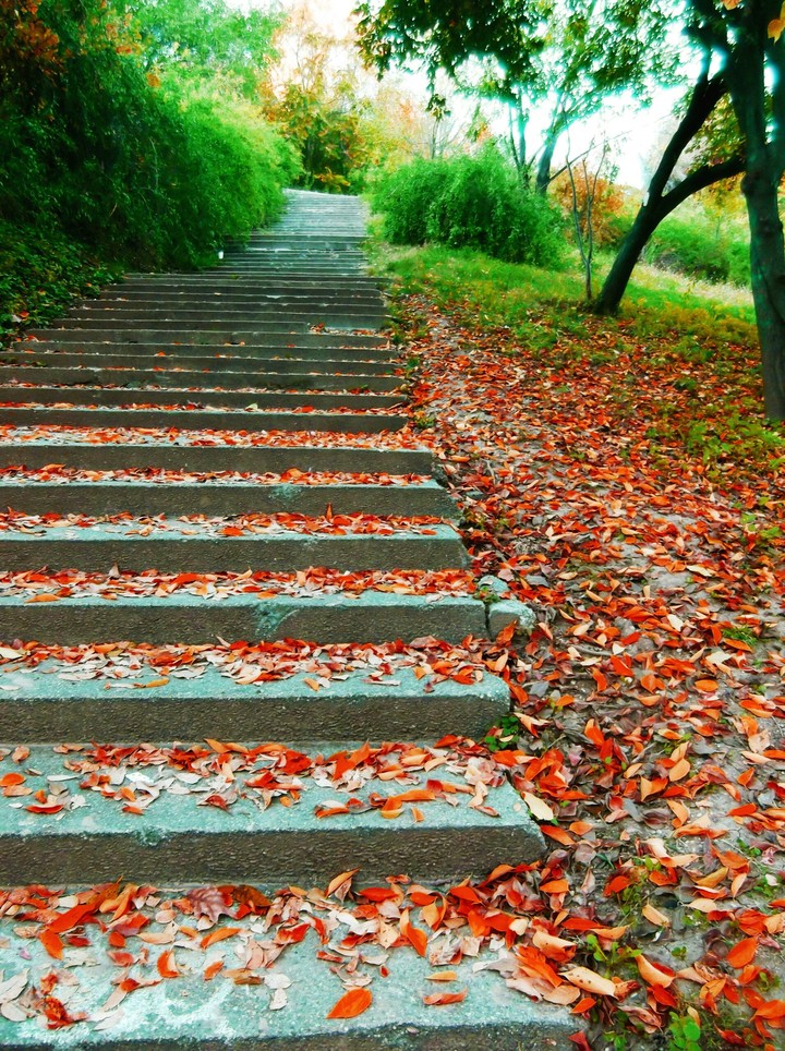 stairs