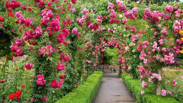 Flovers