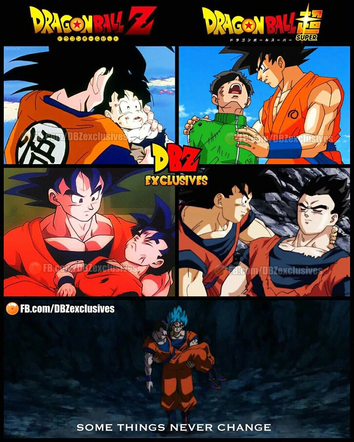 goku and gohan memories