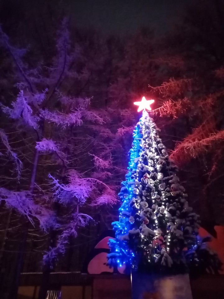 зима