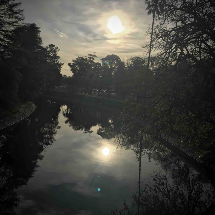 Grey Sun