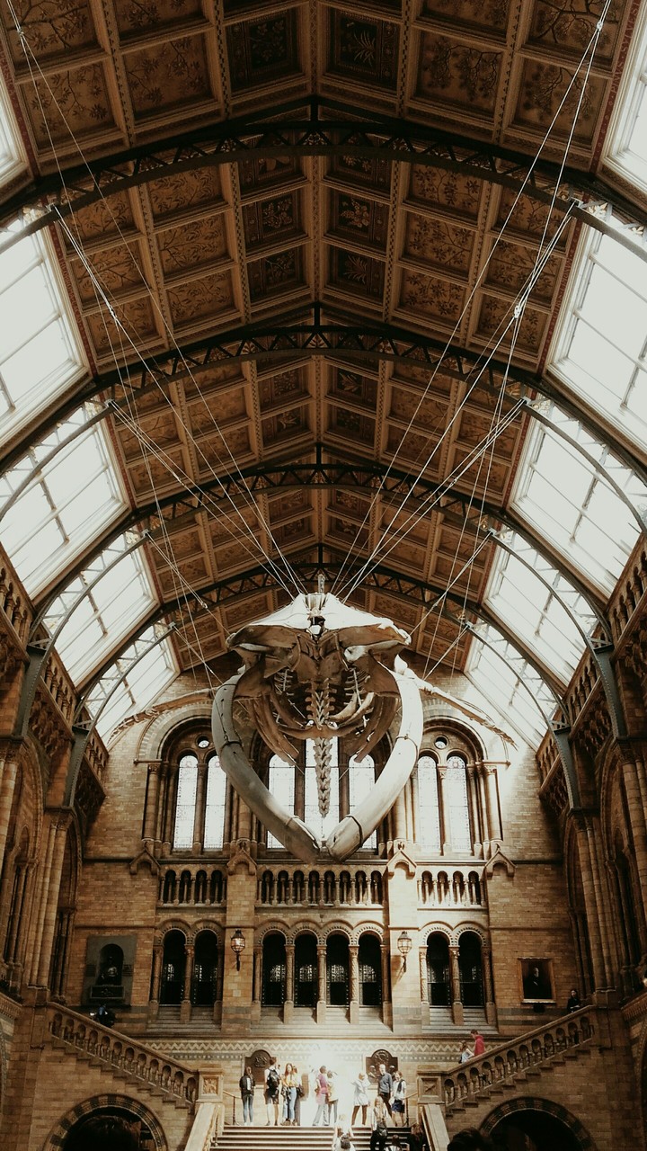 Muzeum