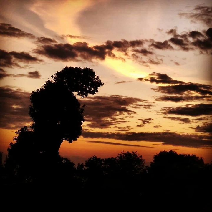 Kangra