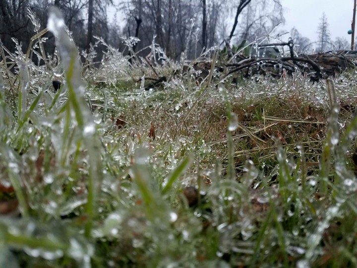 frozen wasteland