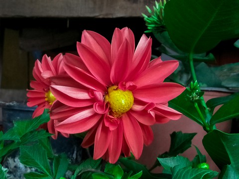 nature of beauty