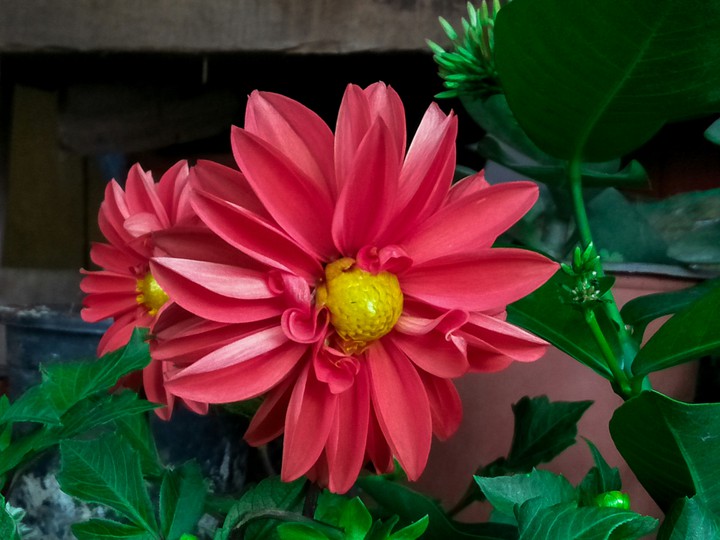 nature of beauty