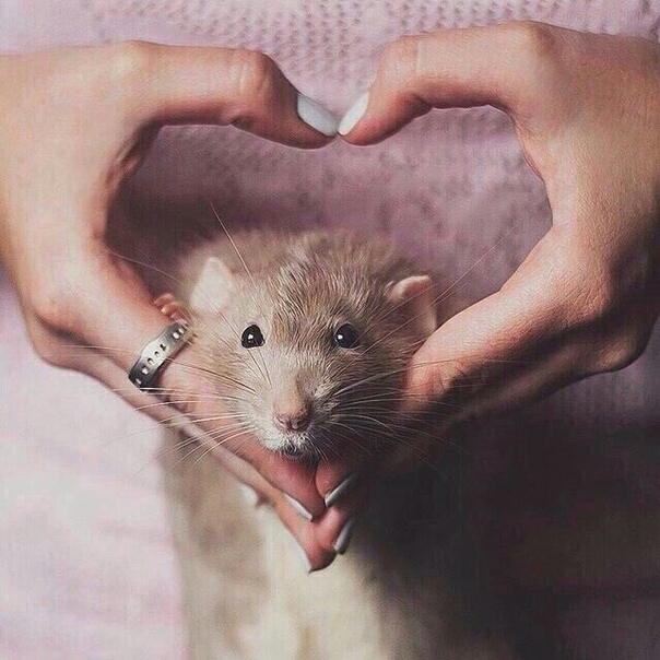 ♥