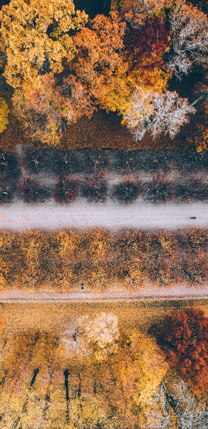 road