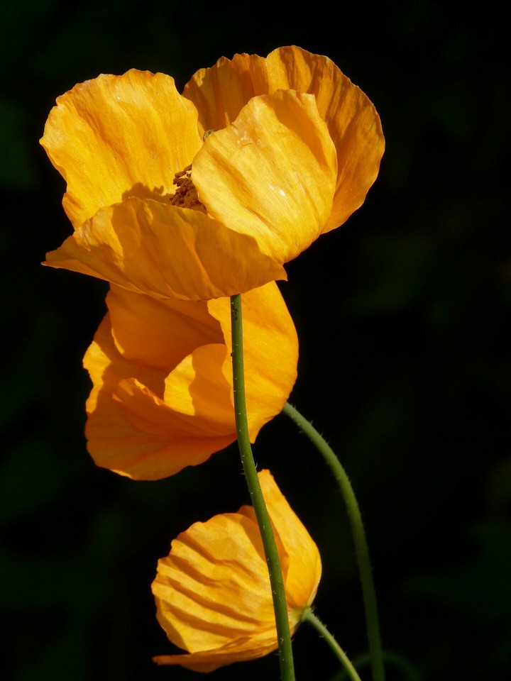 ❤
