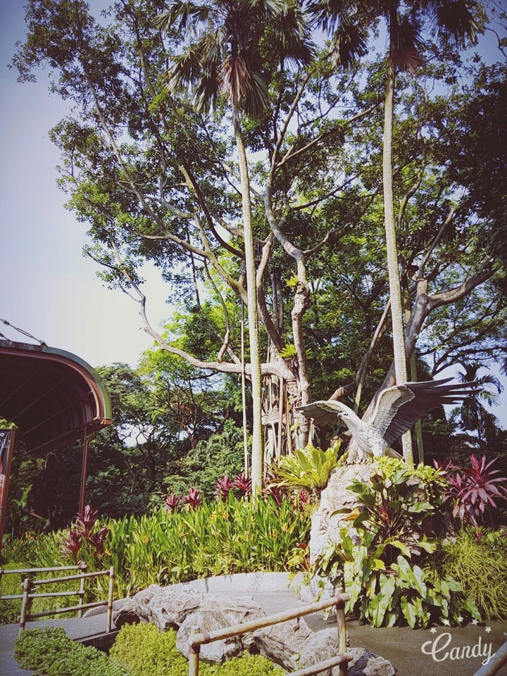 natural