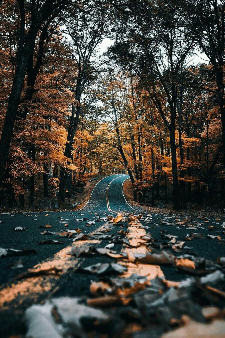 Autumn