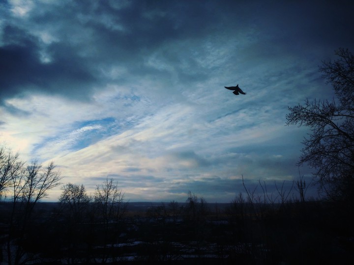 полет в небесах