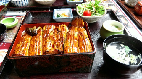 うな重
