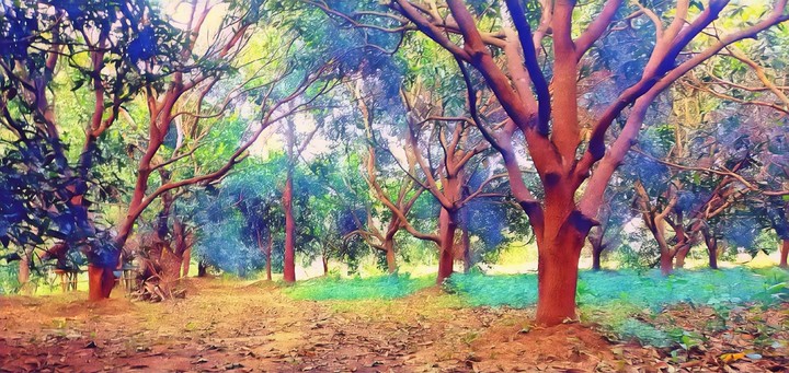 Nature magic