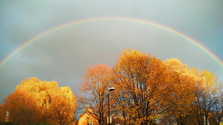 autumn rainbow