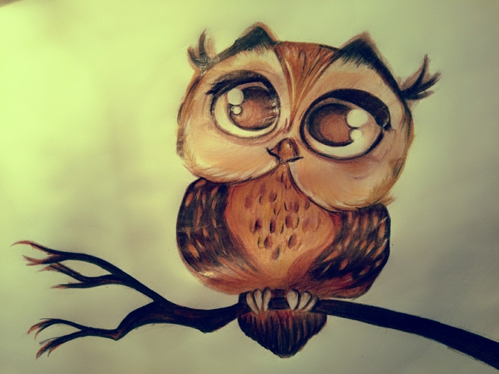 adorable eyes of the night