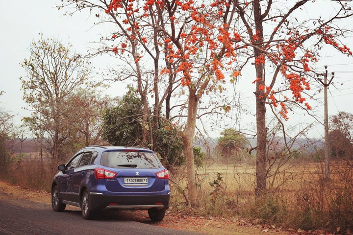 Car#s-cross# My baby# Tekwa