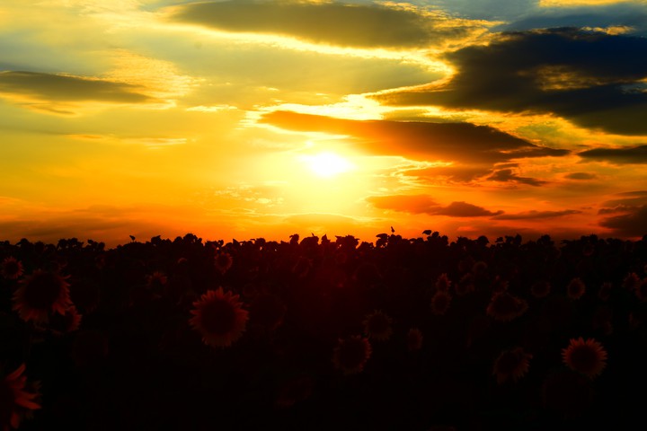 Sunset