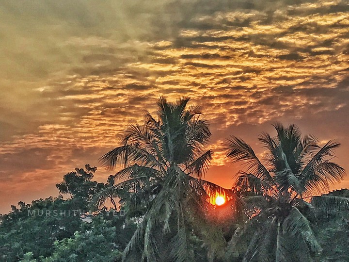 Sunrise