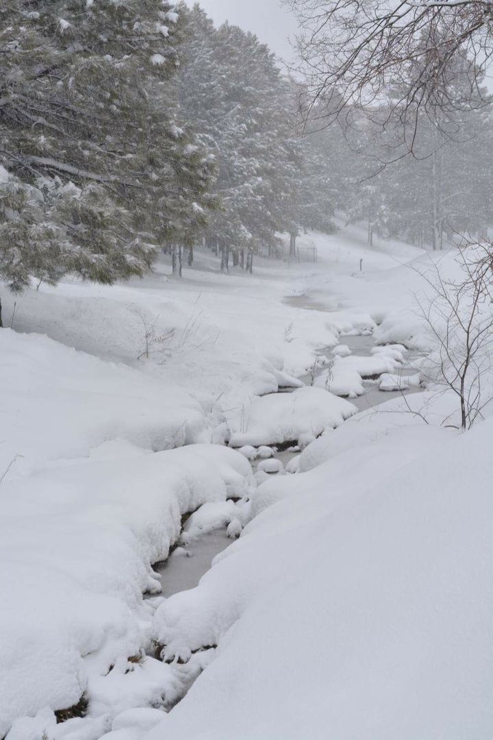 Frozen Creek