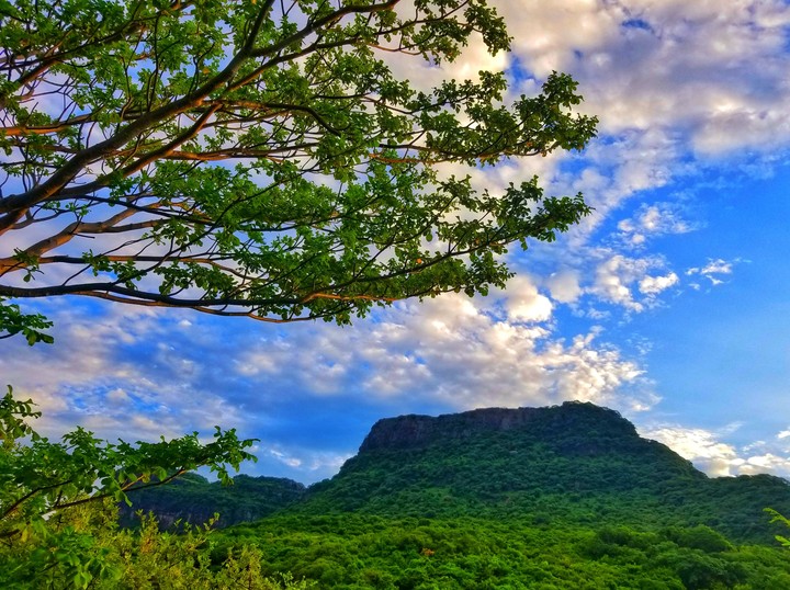 CERRO DE SAN LORENZO, GRO.