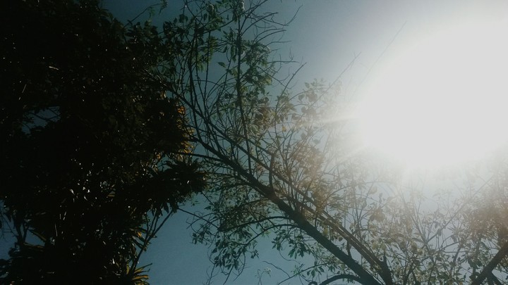 sol de tarde