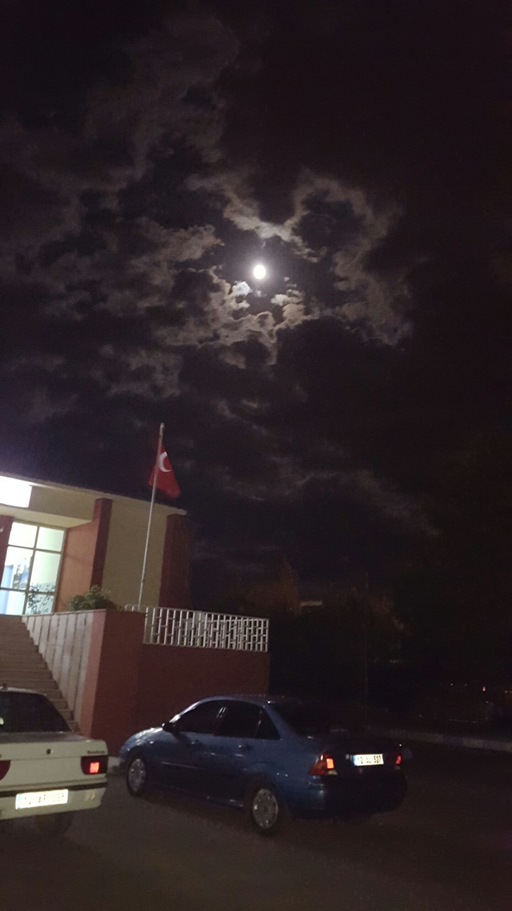 ay-Turkey-Night
