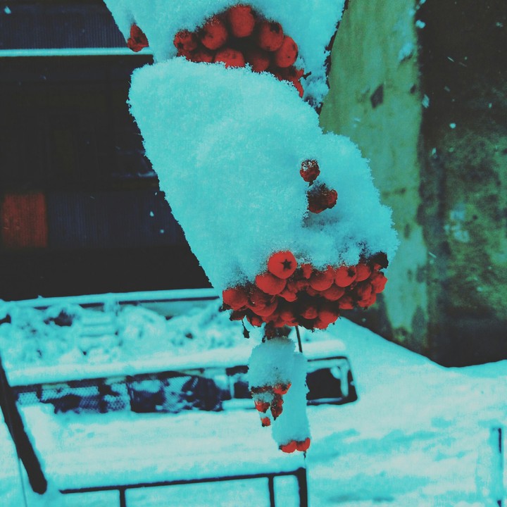 Russian winter ⛄❄