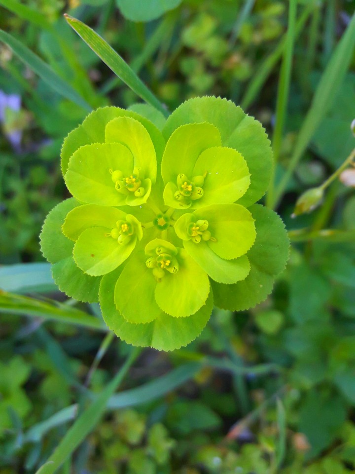 nature at its best