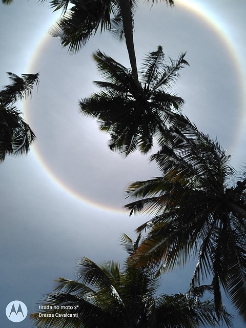 natureza