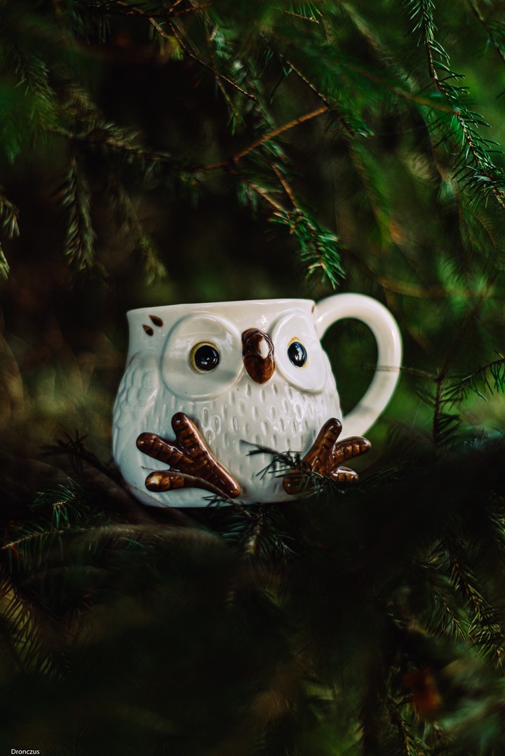 Just a cup sitting on a tree