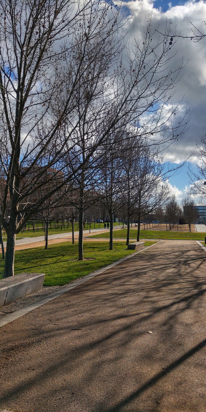 Park