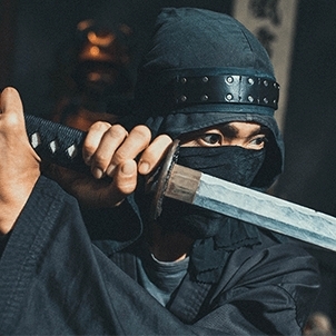 ninja poised