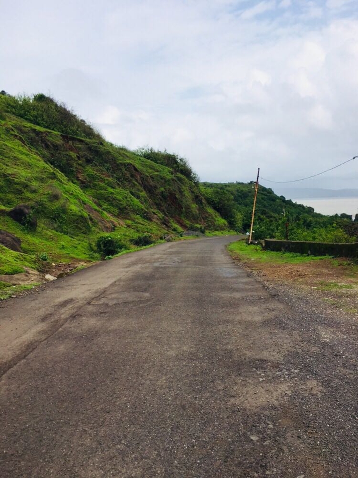 #longroads #greenery
