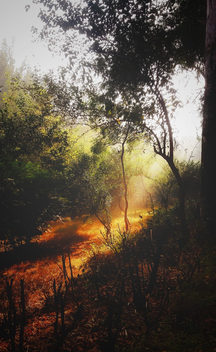 First light of the day
