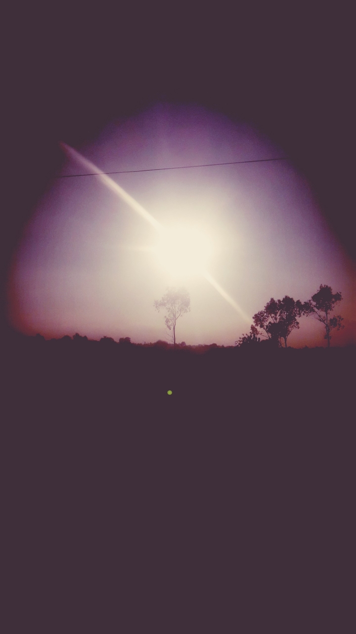Lonely View