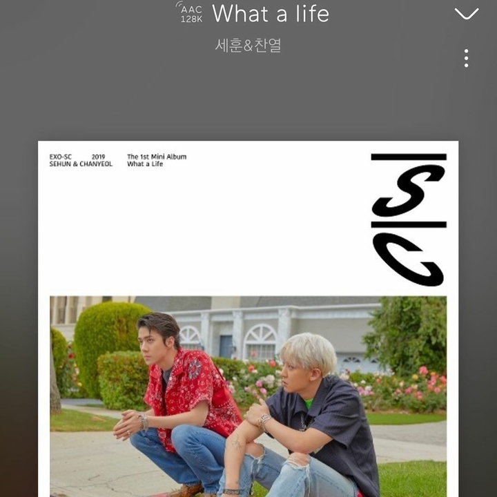 Sehun & Chanyeol 'What a life'