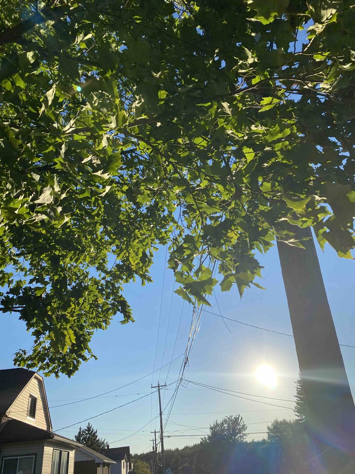 Summer Vibes