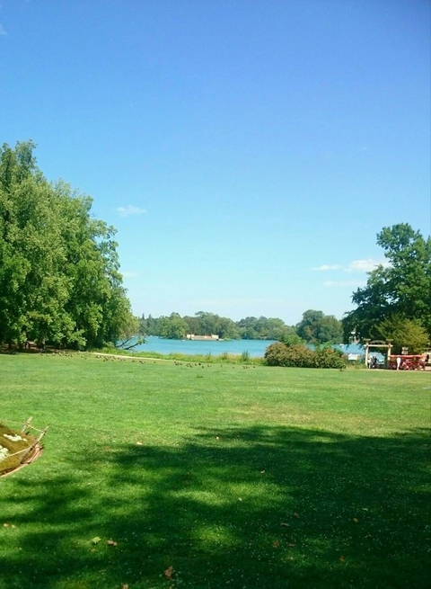 hình nền france, park