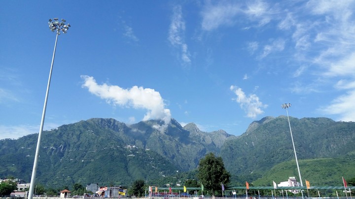 veshno devi