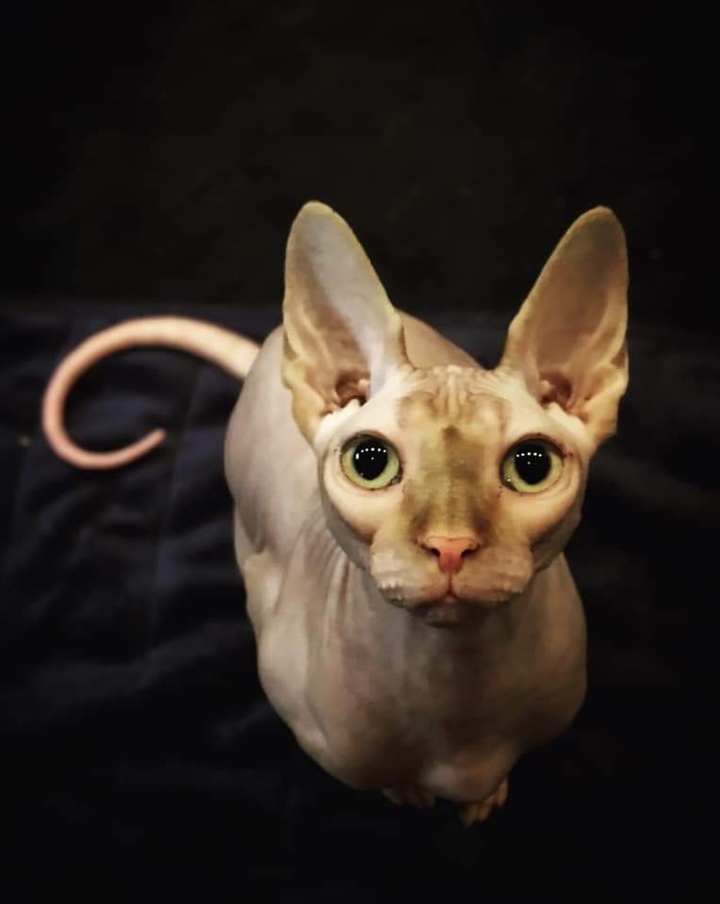 "hi.."