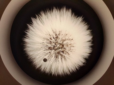 fondos de pantalla photography, eye