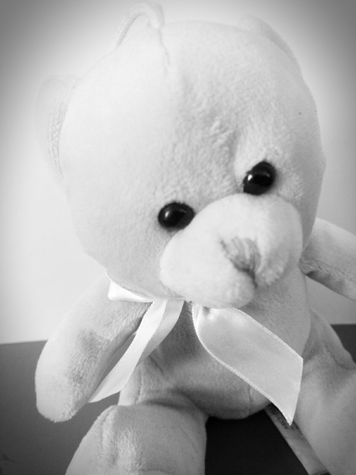 Teddy love