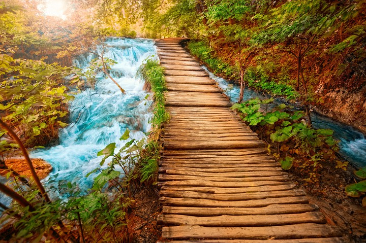 Nature 01