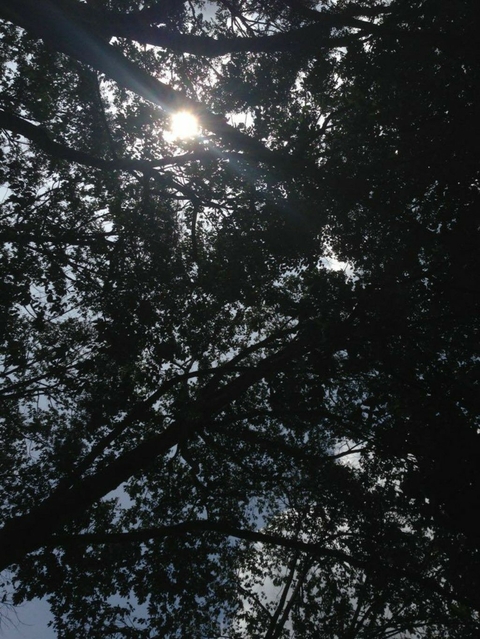 light